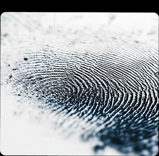 Fingerprint pad