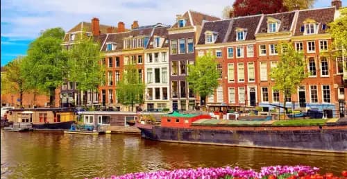 How to Get RCMP Fingerprinting in Amsterdam?
